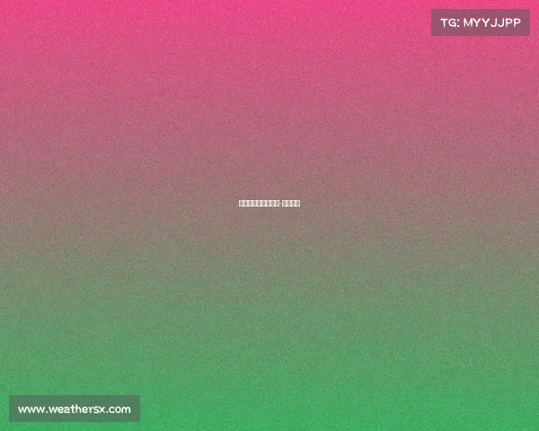 网情深网络电子竞技-网络情谊